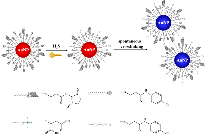 金纳米颗粒检测硫化氢示意图