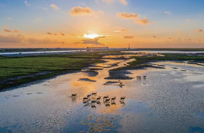 2公里海岸线,158平方公里海湾面积,海湾内滩涂湿地与盐土植被交替分布