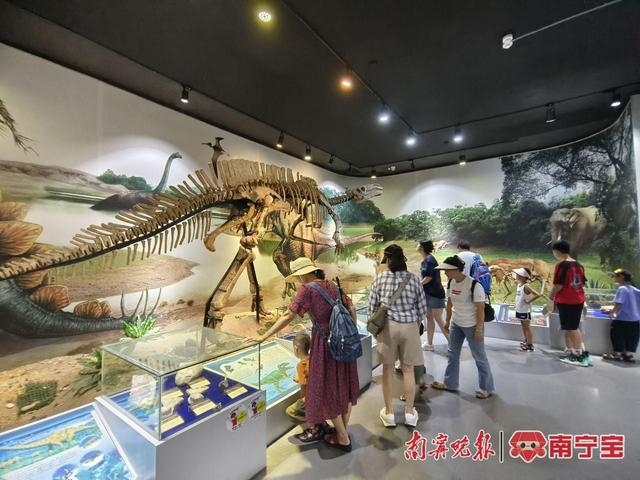 暑假游客参观广西自然博物馆