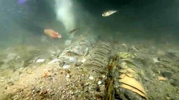 圣杯屿沉船遗址所见瓷器原始堆积