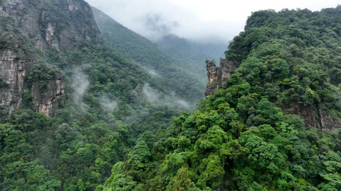 图为 英德石门台国家森林公园航拍