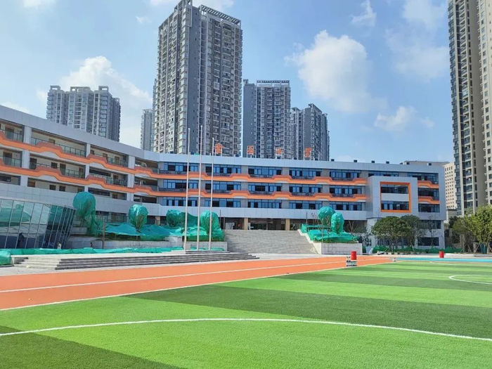 小学|新学校|占地面积_新浪新闻