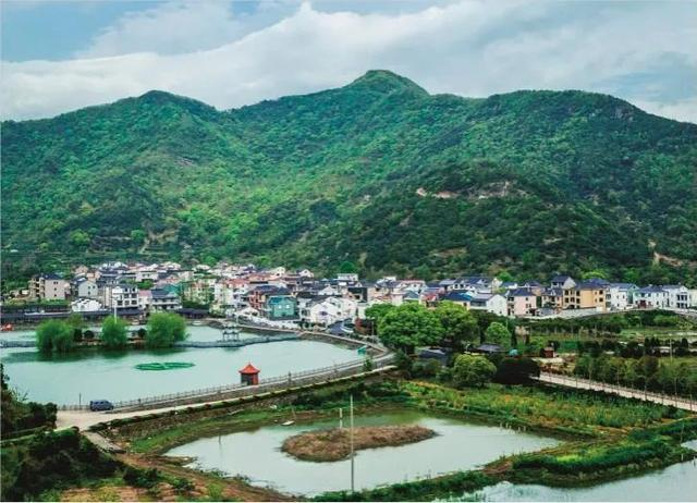 墩岙村——"红色根脉"强引领,美丽乡村展新姿|党员_新浪新闻