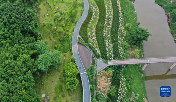 重庆巴南:花溪河综合整治显成效|花溪河|水河|巴南区_新浪新闻