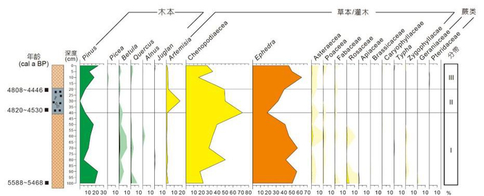 图2 内蒙古乌拉乌苏西遗址灰坑1所在剖面的孢粉百分比图谱