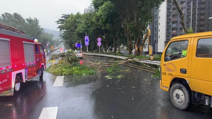 9月1日18时25分,大鹏新区东涌路口有树木倒塌,水头站东涌前置执勤点出