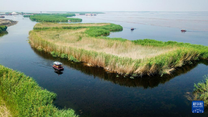 这是6月19日拍摄的乌梁素海（无人机照片）。新华社记者 彭源 摄