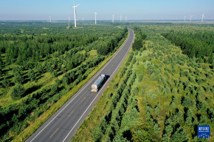 这是2022年8月16日在通辽市科尔沁左翼后旗拍摄的科尔沁沙地造林成果（无人机照片）。新华社发（华维光 摄）