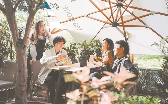     年轻人开始拥抱新式茶馆  本报资料图片