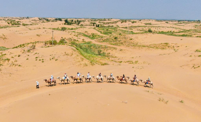 游客在鄂尔多斯市达拉特旗境内库布其沙漠中的银肯塔拉景区体验骑骆驼（7月29日摄，无人机照片）。新华社记者 彭源 摄