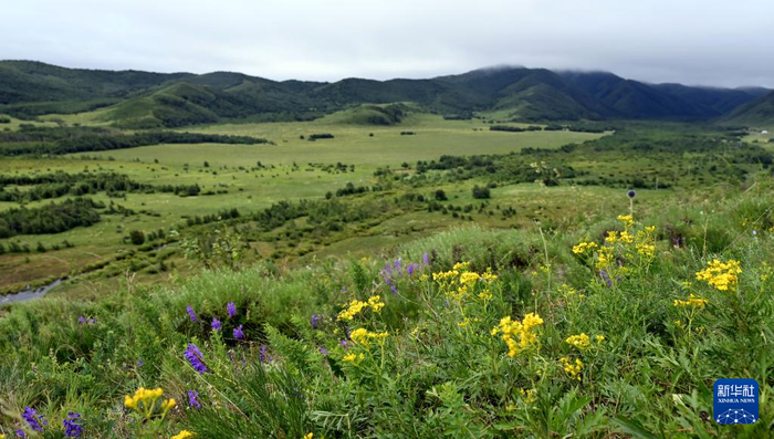 位于内蒙古自治区通辽市境内的罕山国家级自然保护区风光。（2023年8月4日拍摄）新华社记者 黄晓勇 摄