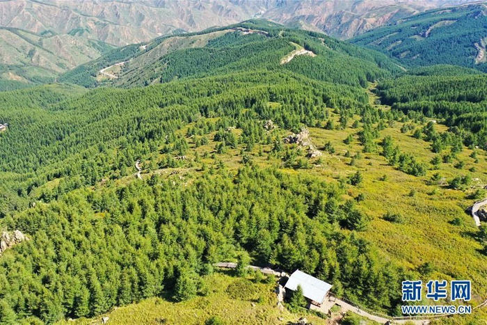 盛夏时节，位于内蒙古乌兰察布市兴和县的苏木山森林公园绿意浓浓，景色宜人。新华社记者 李志鹏 摄