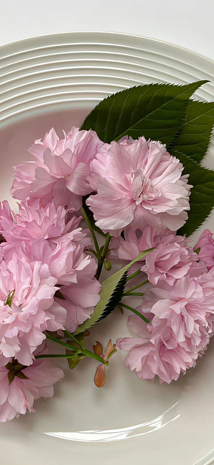 壁纸ins高级质感高清全屏