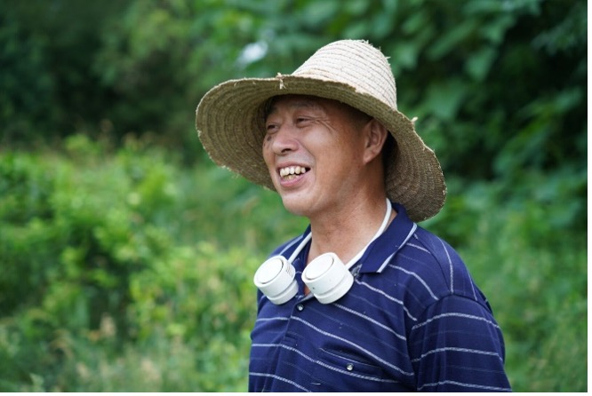 圆草帽,条纹衫,散热小风扇,除草机在午后嗡嗡作响……走过没及小腿肚