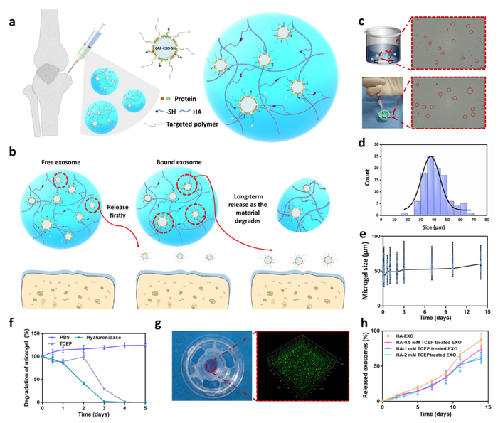 （来源：ACS Nano）