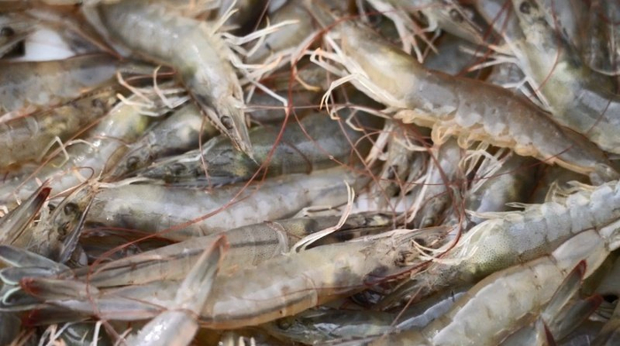 来源：米东区融媒体中心