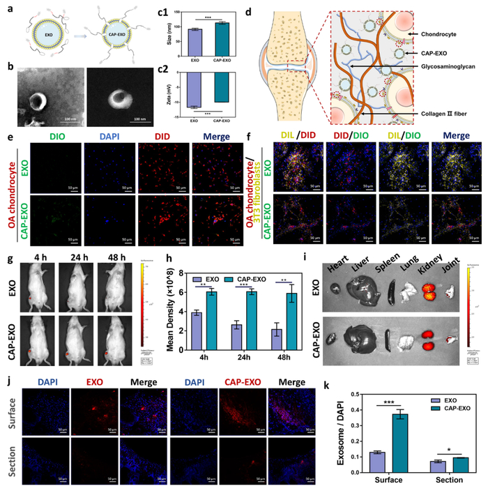 （来源：ACS Nano）