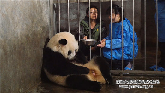 △2016年8月9日凌晨“成功”顺利产下一对龙凤胎兄妹