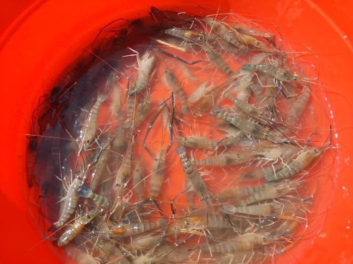 来源：察布查尔锡伯自治县融媒体中心