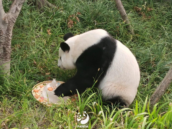 △2022年9月11日吃生日蛋糕的“成功”