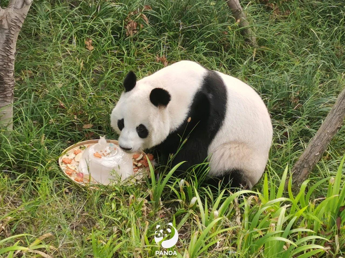 △2022年9月11日过生日的“成功”