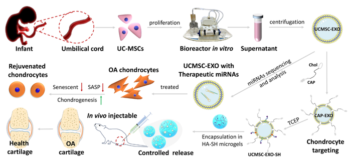 （来源：ACS Nano）