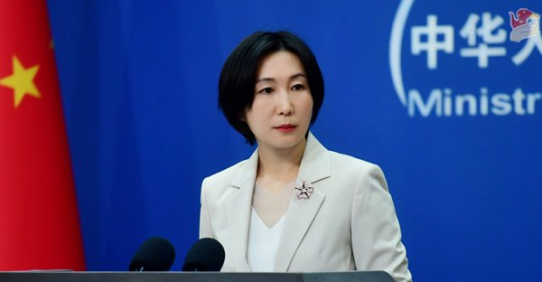 毛宁 资料图 图源：外交部网站