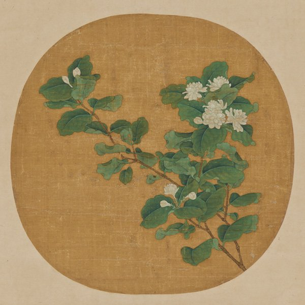 （传）赵昌的《茉莉花图》，