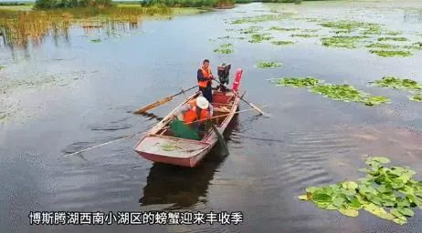 ▲图源：博湖县融媒体中心