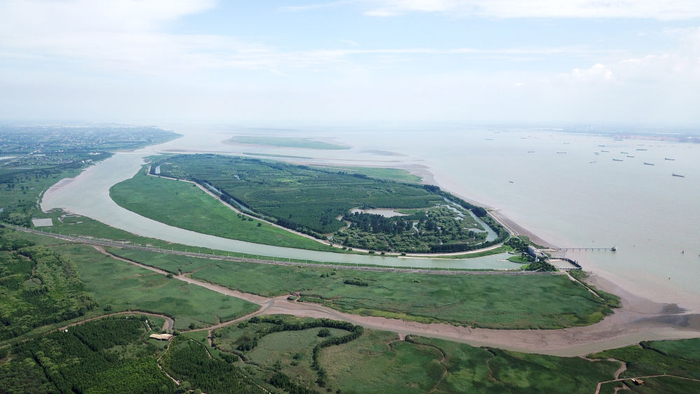 　　这是2023年7月25日拍摄的上海崇明西沙湿地公园（无人机照片）。新华社记者 金立旺 摄