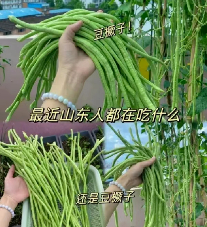 图片来源于网络