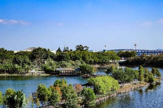 （运营服务厦门下潭尾红树林公园、厦门园林博览苑）