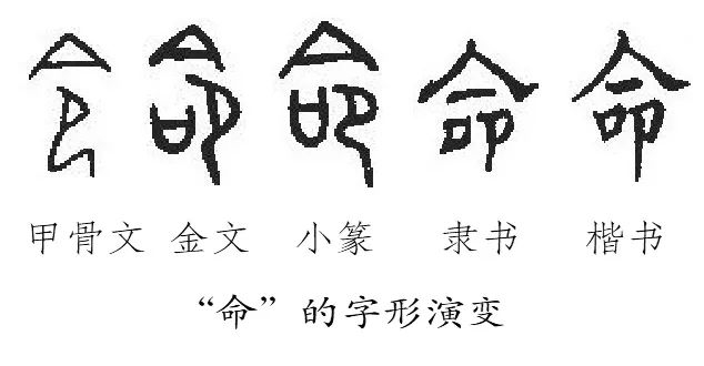 先看看"命".在甲骨文中,"命"和"令"是同一个字.