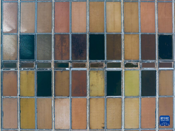 初秋盐田色彩斑斓---初秋时节,盐田色彩缤纷,美若多彩的调色板.