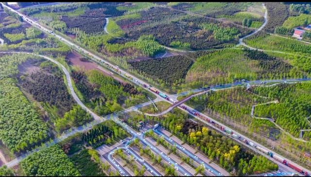 雄安新区千年秀林处处洋溢着欣欣向荣的景象。田明 摄