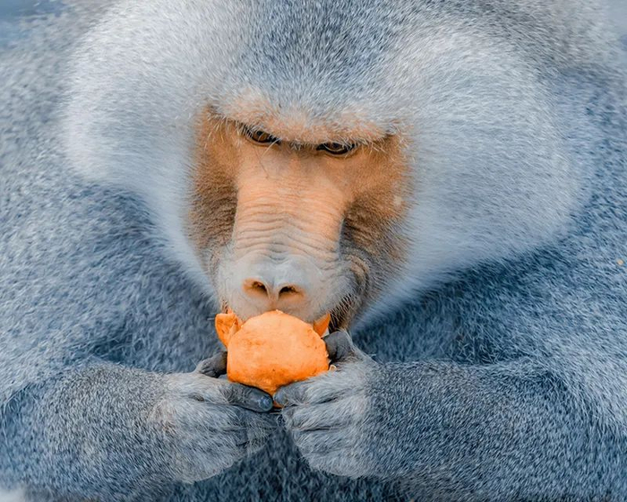点评| 平视|摄影|镜头_新浪新闻