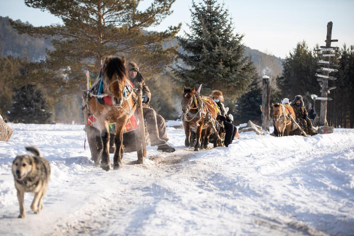1月10日，在漠河市北极村，游客乘坐马拉爬犁。&nbsp;新华社记者 张涛 摄