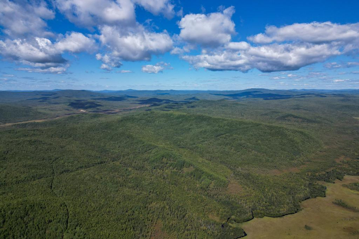 这是近日拍摄的大兴安岭林区风景（无人机照片）。新华社记者 张涛 摄