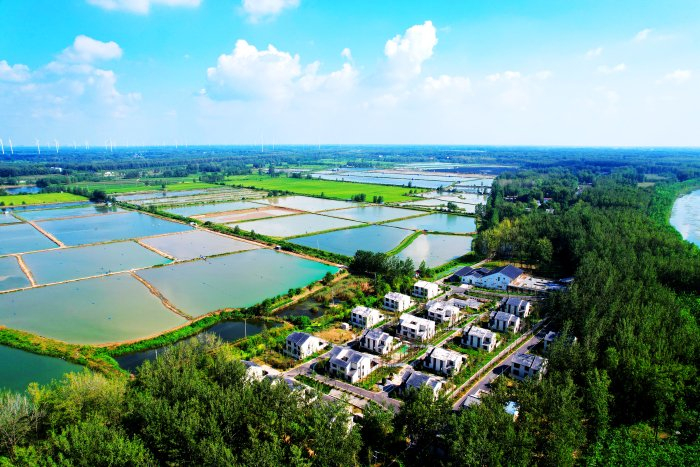 芦塘月色绘就美丽乡村新画卷