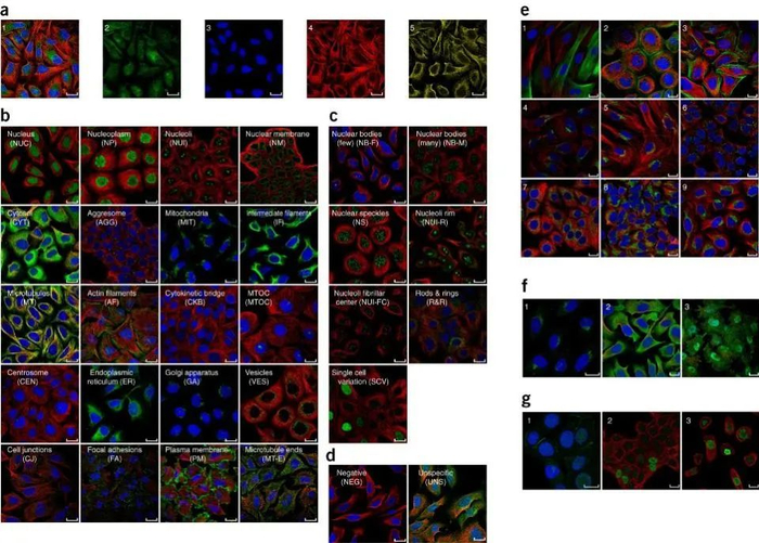 论文中的研究数据，也包含着玩家们的汗水