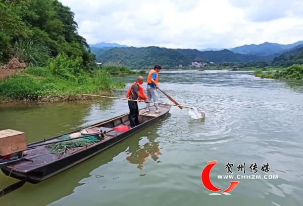 昭平马江镇:志愿"红"守护一江碧水