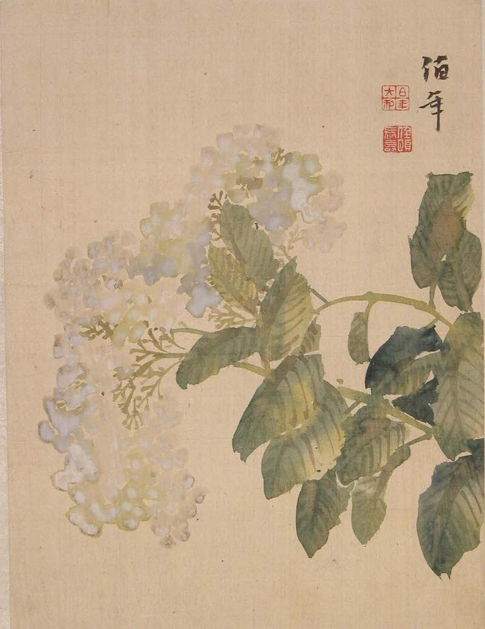任伯年 花果图册页  绢本 纵27厘米 横19厘米 沈阳故宫博物院 藏