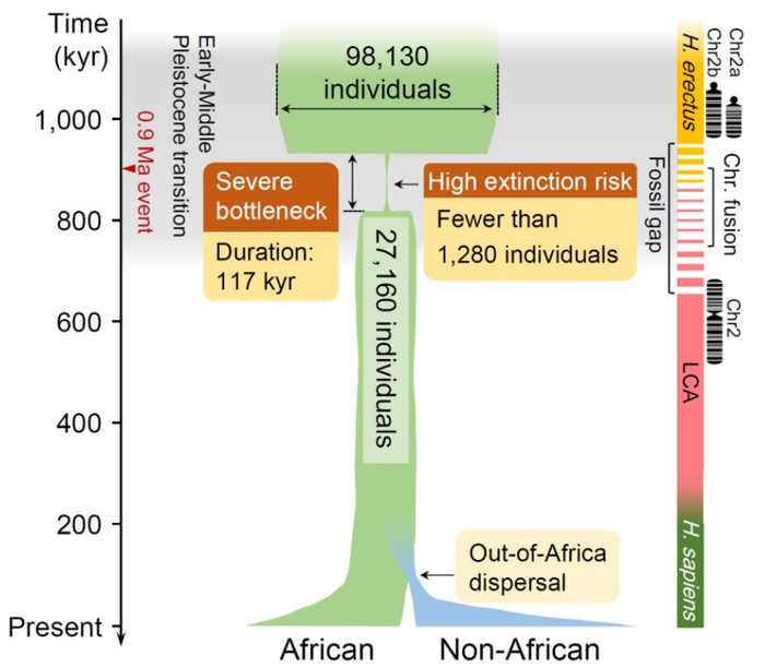 图 | 相关论文（来源：Science）
