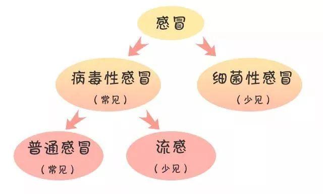 人群对流感病毒普遍易感,孕妇,婴幼儿