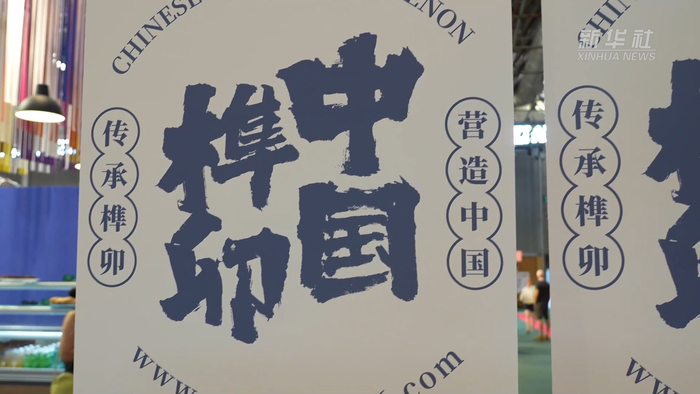 “中国设计”亮相法国巴黎时尚家居设计展__财经头条__新浪财经