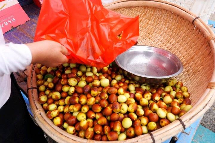 山东乐陵金丝小枣红了,又脆又甜,国庆节采摘最好|山东省|德州市_新浪