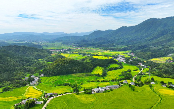 江西宜丰丰景如画
