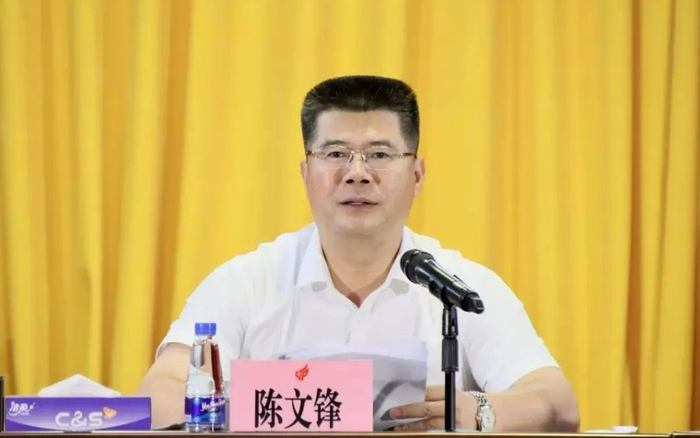 陈文锋（资料图 来源：中山火炬发布）