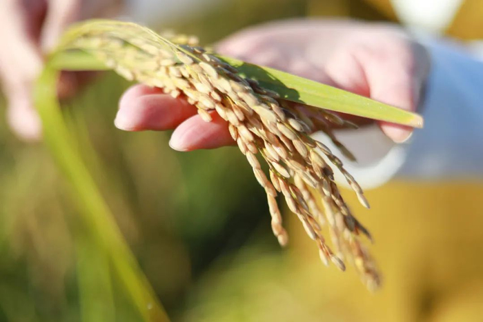 健康时报 曹子豪 摄