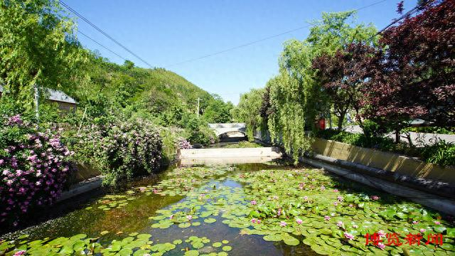 沂源县燕崖镇乡村治理新成就朱家户村新气象
